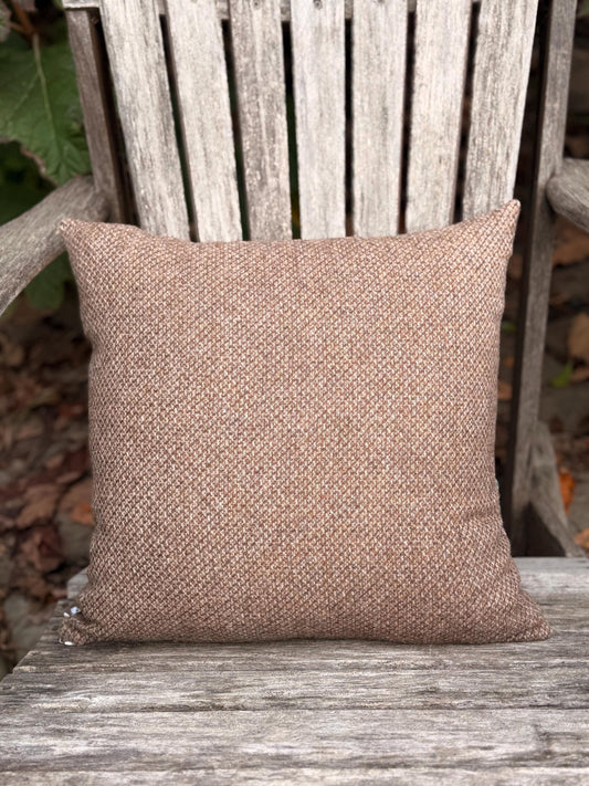 Maine Coon Cat Pillow