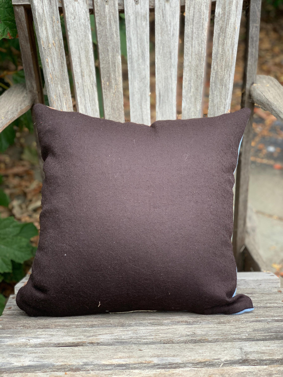Siamese Cat Pillow