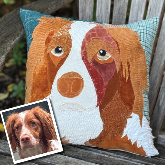 Custom Pet Pillow